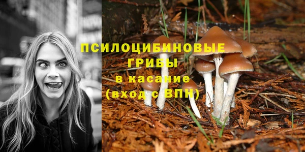 крисы Алексеевка