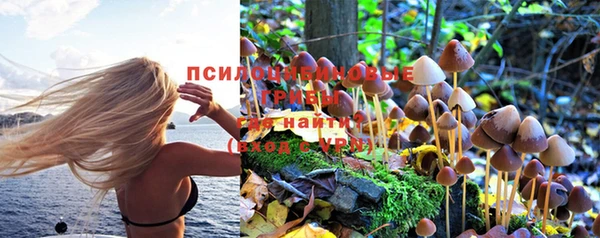 мескалин Алексин
